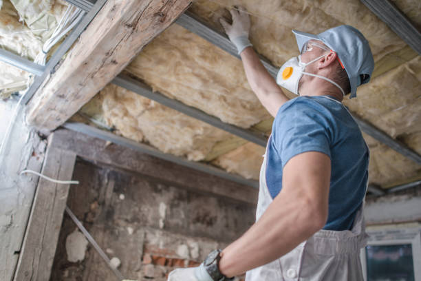 Best Insulation for Specific Applications in Roosevelt Park, MI