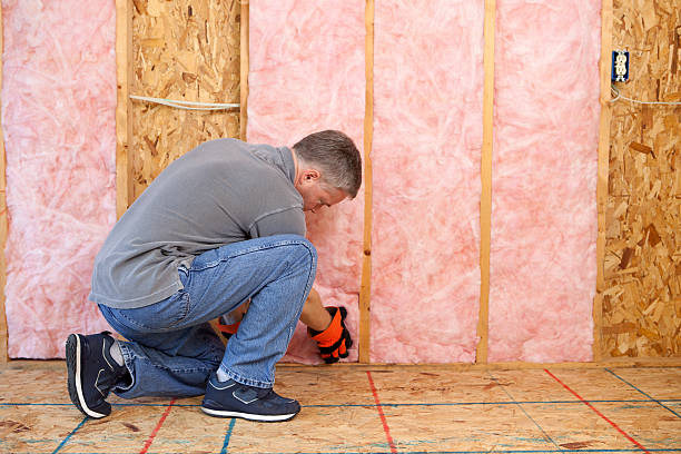 Best Types of Insulation in Roosevelt Park, MI