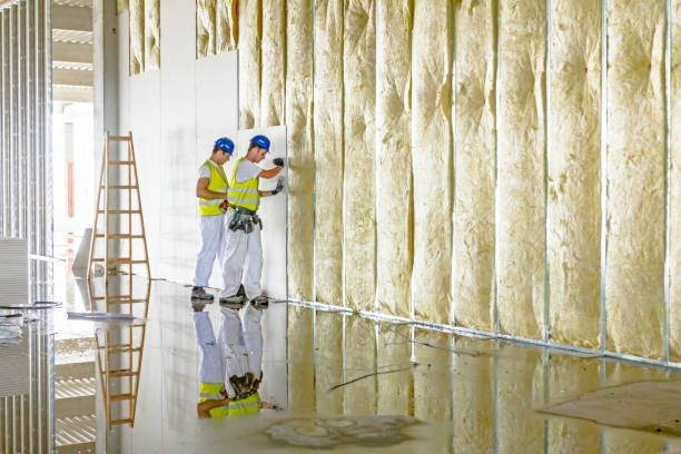 Best Energy Efficiency Solutions in Roosevelt Park, MI